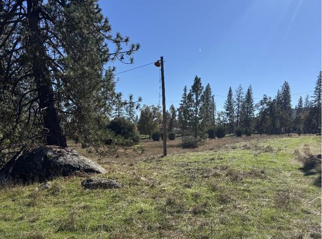 2795 State Highway 49, Mariposa CA: https://media.crmls.org/mediaz/6f11b330-cf96-41a5-91e9-835af4059bdf.jpg