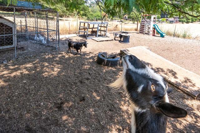 2165 Cox Road, Aptos CA: https://media.crmls.org/mediaz/6f1f898a-8c39-49fb-9e14-2ad1c63481f7.jpg