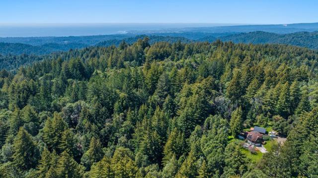 2900 Buzzard Lagoon Road, Corralitos CA: https://media.crmls.org/mediaz/6f2559aa-9aad-4e1b-9d36-bd7518dceb89.jpg