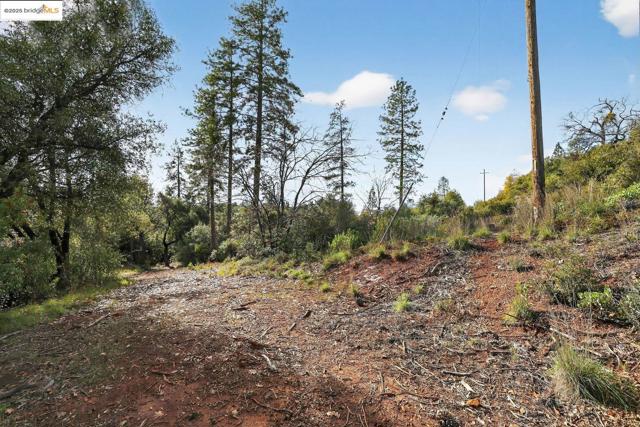 Image 6 of 10 For 4544 Sheep Ranch Rd