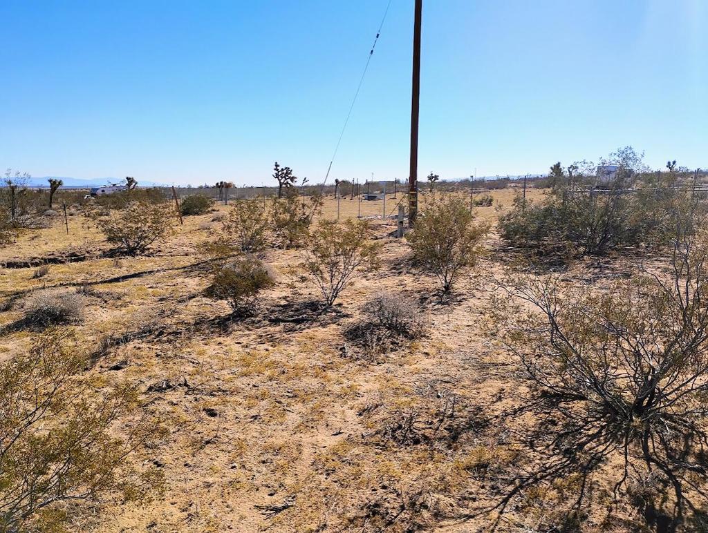 MLS #219138097DA image #4