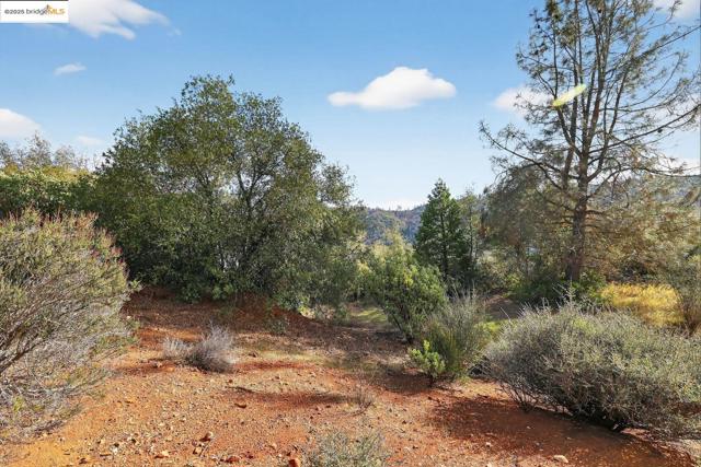 Image 9 of 10 For 4544 Sheep Ranch Rd