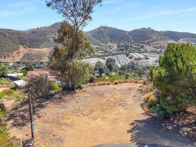 Detail Gallery Image 34 of 39 For 3020 Lynn Ln, San Marcos,  CA 92069 - – Beds | – Baths