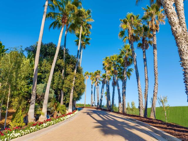 0 Spyglass Lane, Rancho Santa Fe CA: https://media.crmls.org/mediaz/6f322c71-f667-4a43-812a-f5e63002ce00.jpg
