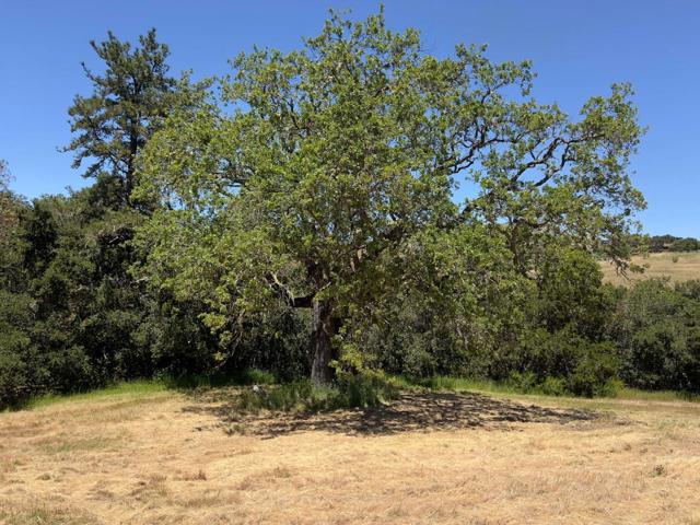 3 Ohlone Trace, Carmel CA: https://media.crmls.org/mediaz/6f36c58f-110b-485d-b346-74069f6fc5f9.jpg