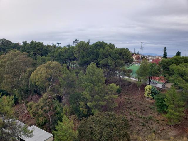 308 Torino Drive, San Carlos CA: https://media.crmls.org/mediaz/6f3fdf3f-4357-41ab-bf42-5ab558822081.jpg