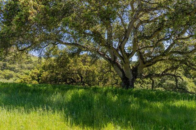 100 Old Stage Rd, San Juan Bautista CA: https://media.crmls.org/mediaz/6f452c47-32e8-4d80-9343-022894810144.jpg