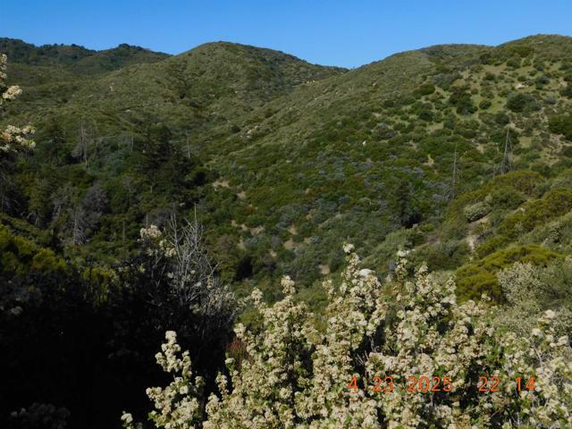 0 San Felipe Rd,  CA: https://media.crmls.org/mediaz/6f4bcc86-4cc7-4ba5-afd3-3e3e693c93b0.jpg