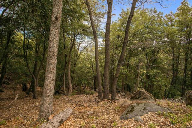 Detail Gallery Image 27 of 36 For 21932 Crestline Rd, Palomar Mountain,  CA 92060 - 1 Beds | 1 Baths