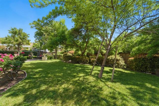 1353 Cristal Court, San Jose CA: https://media.crmls.org/mediaz/6f4e41e6-0638-4de4-a95e-dcc826b70701.jpg