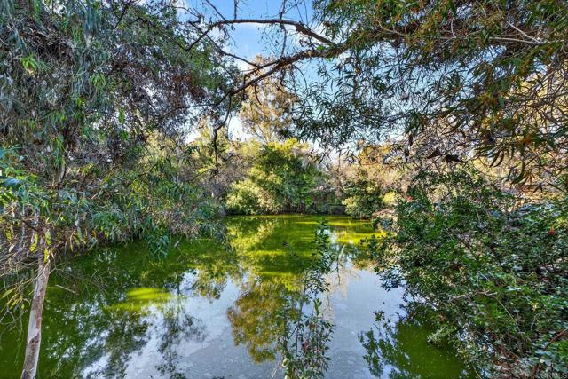 Image 24 of 29 For 916 Mimosa  