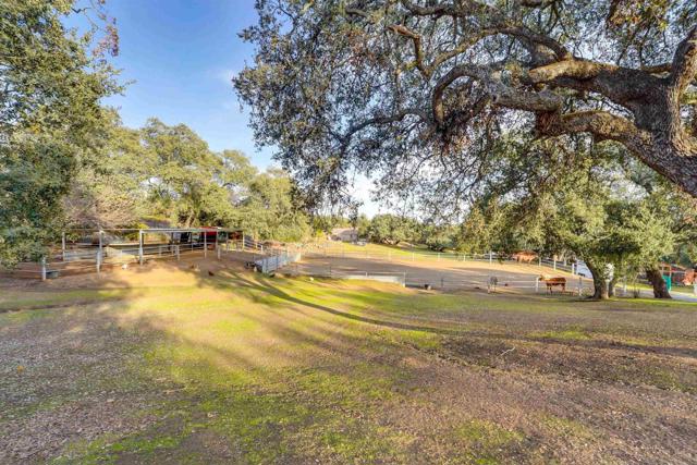 20320 Deerhorn Valley Road, Jamul, California 91935, 4 Bedrooms Bedrooms, ,4 BathroomsBathrooms,Single Family Residence,For Sale,Deerhorn Valley Road,250019383SD