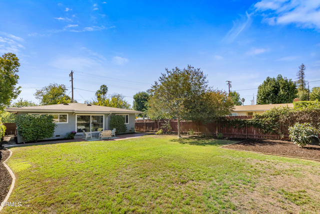 yard facing south