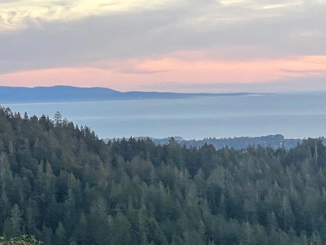 132 Pax Place Court, Aptos CA: https://media.crmls.org/mediaz/6f681830-f576-4190-9491-82aee8a49023.jpg