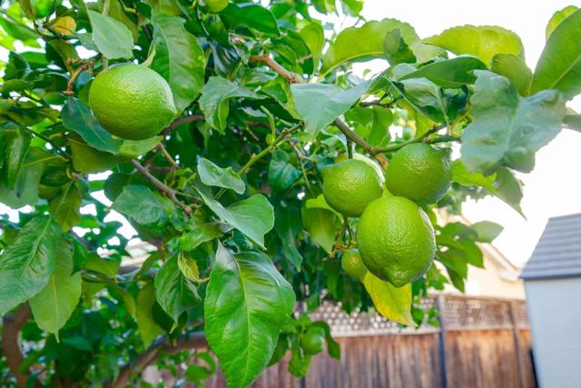 2132 Savona Court, Vista CA: https://media.crmls.org/mediaz/6f6b9f09-8abb-45da-a77a-dd6aeacca6e1.jpg