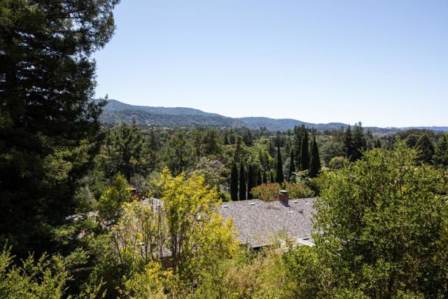 348 Costello Drive, Los Altos CA: https://media.crmls.org/mediaz/6f6be97e-9014-4842-936e-5dcd13e83be7.jpg
