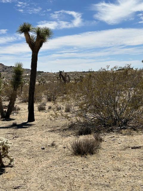 0 Sun Oro Road Road, Yucca Valley CA: https://media.crmls.org/mediaz/6f7046cb-2ab7-44c3-a8ed-4511cc772c60.jpg