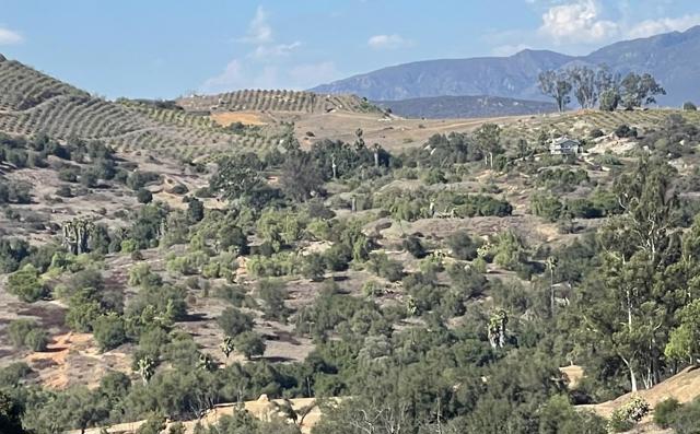 77 Jeffrey Heights Rd, Valley Center CA: https://media.crmls.org/mediaz/6f78a0d8-7720-4097-a33c-8fcab27d0099.jpg