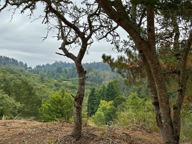 5601 Freedom Boulevard, Aptos CA: https://media.crmls.org/mediaz/6f8bcfc6-774c-410a-9ccb-2b70c001e350.jpg