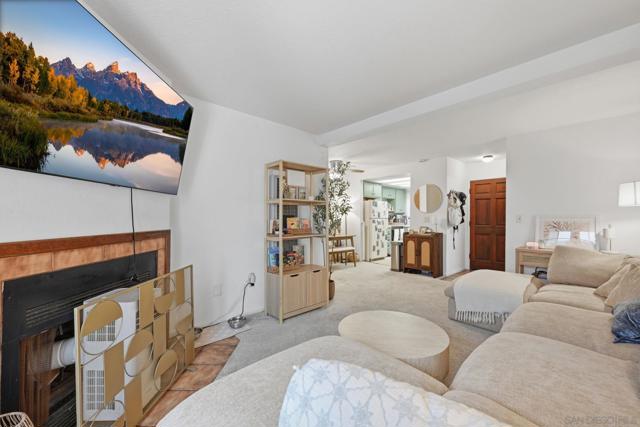 Image 8 of 45 For 1460 Hornblend