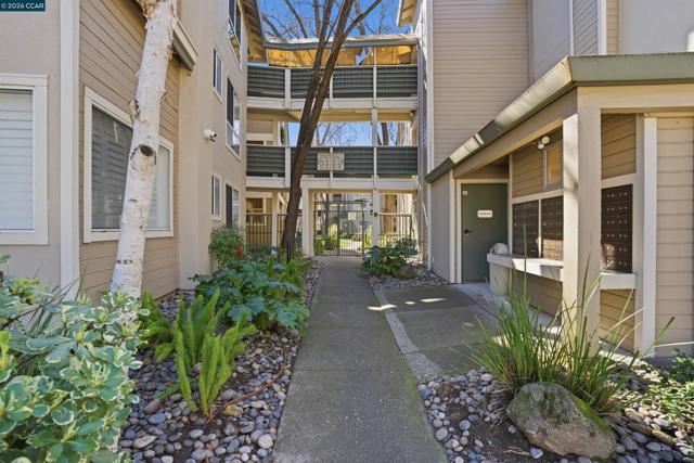 2560 Oak Rd, Walnut Creek CA: https://media.crmls.org/mediaz/6f9864dc-f819-418d-8c47-a9ff15db9f65.jpg