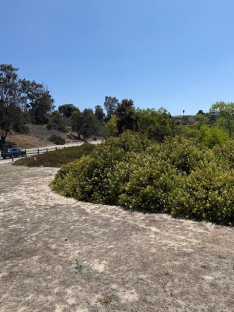 Front Image Thumbnail for CRPTP2505558