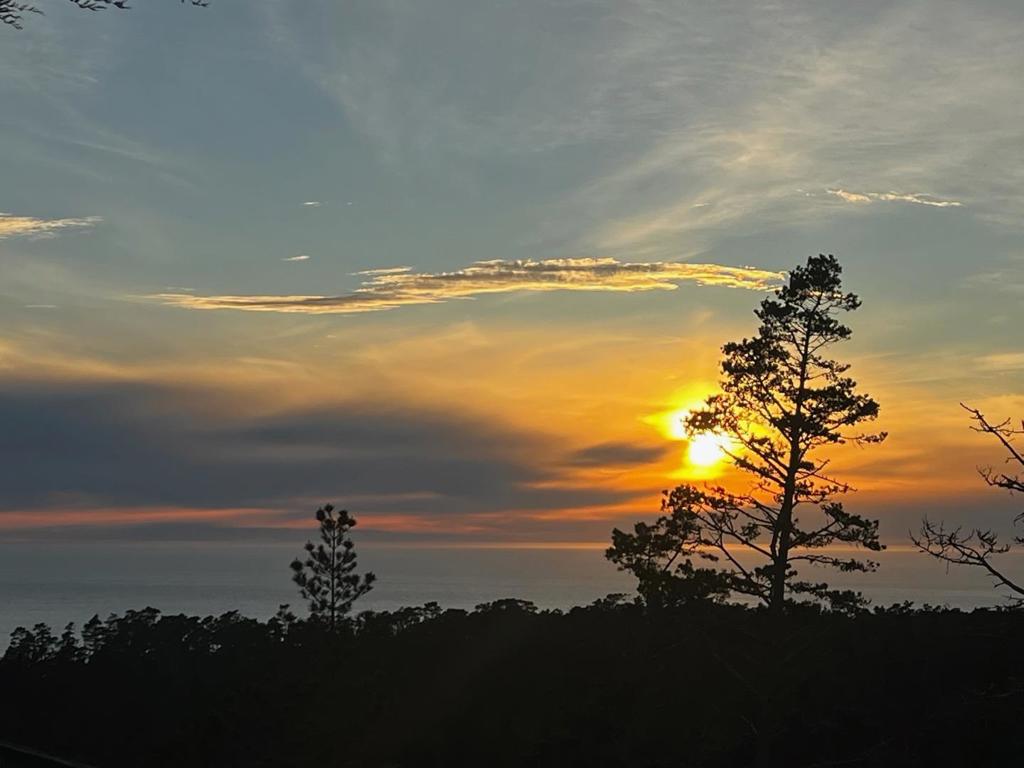 https://media.crmls.org/mediaz/6fb29e19-5d08-4d53-91f7-478be1571fdc.jpg?preset=X-Large