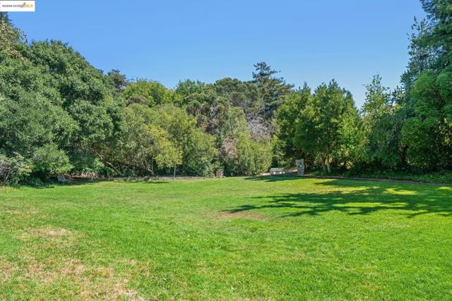 515 Mount St, Richmond CA: https://media.crmls.org/mediaz/6fb8be21-90ab-4a80-b996-996ed6a5b3c6.jpg
