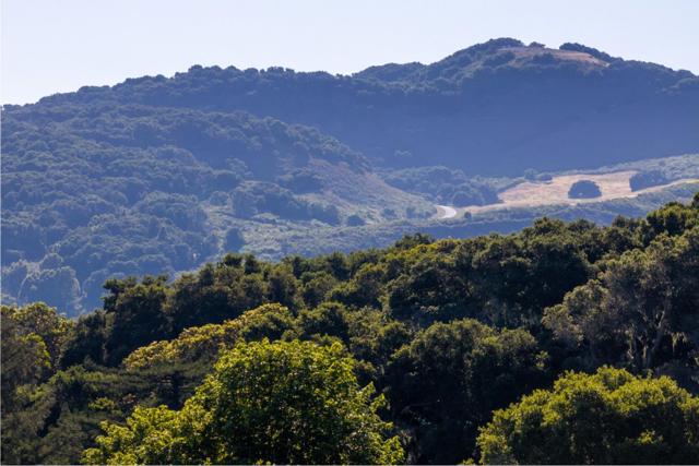 15 Potrero Trail (Lot 188), Carmel CA: https://media.crmls.org/mediaz/6fb90440-8612-40f8-8eb9-dcc44b837901.jpg