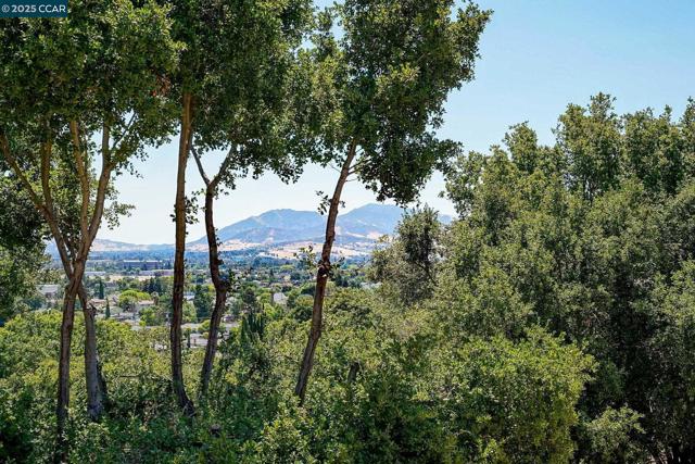 2132 Rock Pass Pl, Martinez CA: https://media.crmls.org/mediaz/6fbd9f75-49b2-484a-b4d4-a5cecb8928f6.jpg