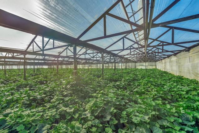 1500 Gilman Road, Gilroy CA: https://media.crmls.org/mediaz/6fc6e6bc-c89d-4820-a716-d9a37326218b.jpg