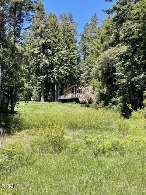 Detail Gallery Image 29 of 32 For 29701 Navarro Ridge Rd, Albion,  CA 95410 - 1 Beds | 1 Baths