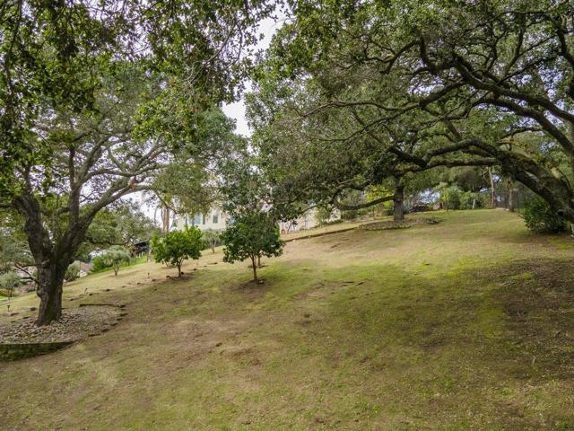 1925 Mantelli Drive, Gilroy CA: https://media.crmls.org/mediaz/6fce28dc-443d-46a9-bcf3-b073903ba2c8.jpg