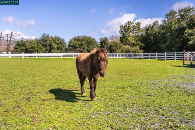 5400 Johnston Rd, Danville CA: https://media.crmls.org/mediaz/6fceba26-2542-432d-9abc-025ed8274522.jpg