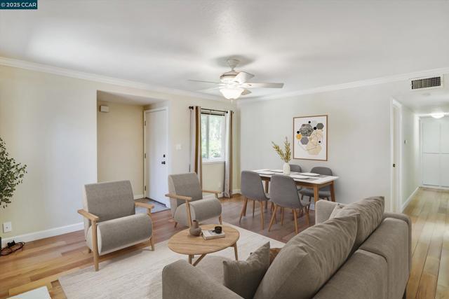 1598 Schenone Ct, Concord CA: https://media.crmls.org/mediaz/6fd9fdbb-d03d-44d1-98a1-4aeeef0148d0.jpg