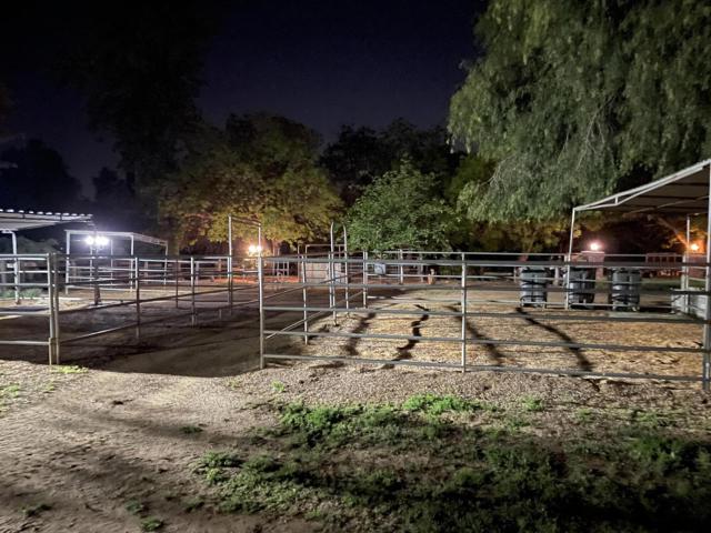 Image 57 of 60 For 38540 38540 Alva Drive