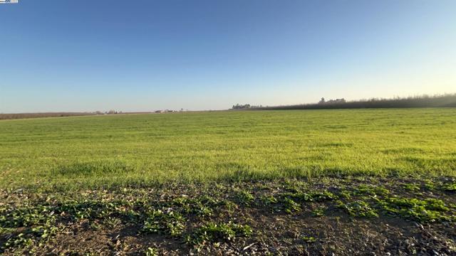 1290 Orange Ave, Patterson CA: https://media.crmls.org/mediaz/6fe17e58-fe73-4eda-9fad-36342e71ad9e.jpg