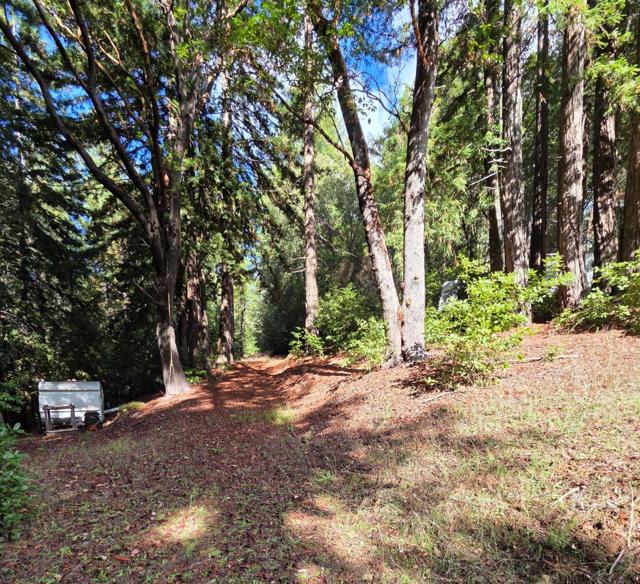 1140 Warren Drive, Santa Cruz CA: https://media.crmls.org/mediaz/6fe6c351-b03e-40bf-81c9-21105bb2075e.jpg