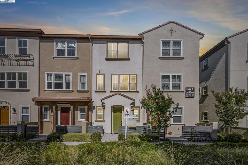 37337 Ortega Common