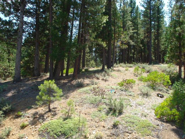 976 Moon Shadow, Portola CA: https://media.crmls.org/mediaz/6ffd5bd9-50d3-4ebc-a055-ee70dda3940c.jpg