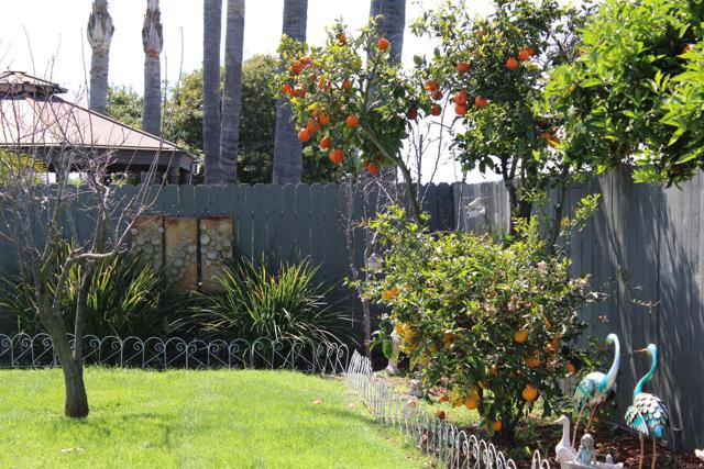 Detail Gallery Image 43 of 50 For 564 Larchwood Dr, San Marcos,  CA 92069 - 3 Beds | 2 Baths
