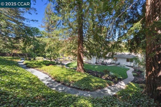 4 Harold Dr, Moraga CA: https://media.crmls.org/mediaz/700beccc-c4f8-43e0-98f0-80ab10ab823c.jpg