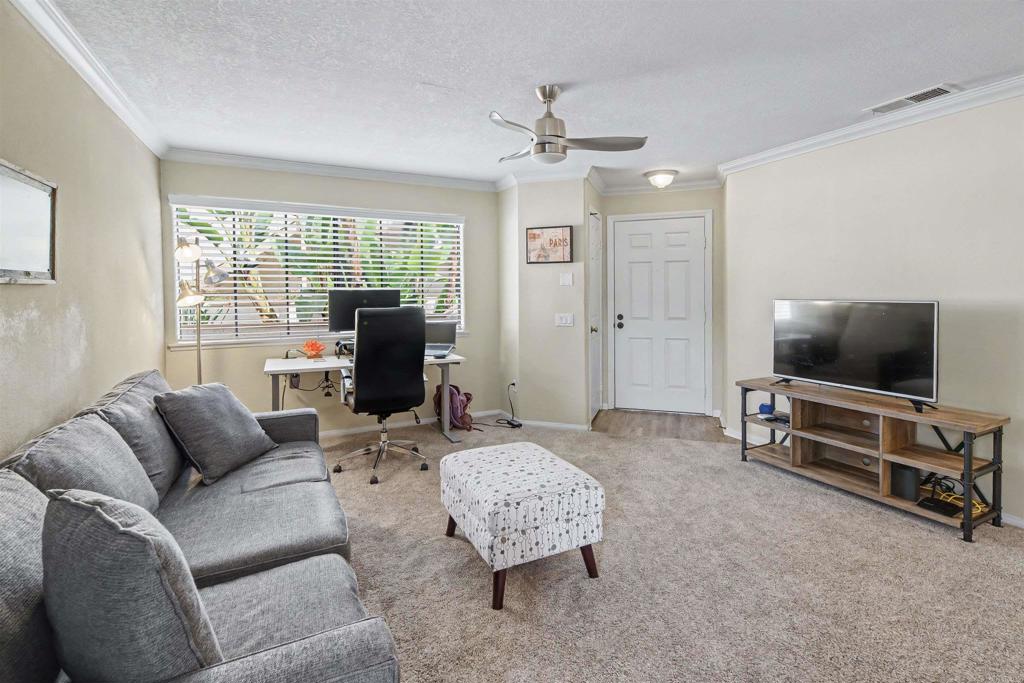 3524 Paseo De Los Americanos - photo 3