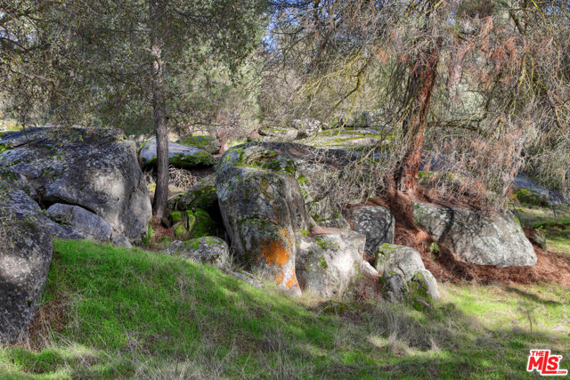 1 Blackhawk Lake, Coarsegold CA: https://media.crmls.org/mediaz/700cf5dc-d7f7-4155-8888-52ed34f453d6.jpg