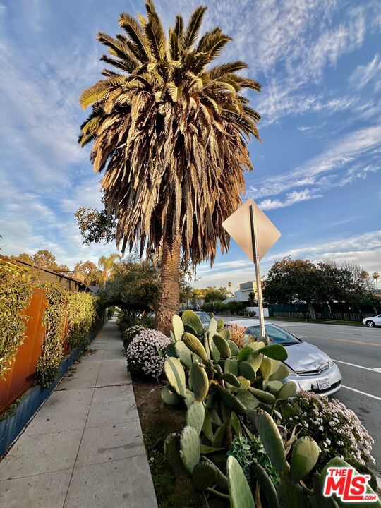 421 Grand Boulevard, Venice CA: https://media.crmls.org/mediaz/700e1233-3e88-47b1-932c-47ed21e6e12a.jpg