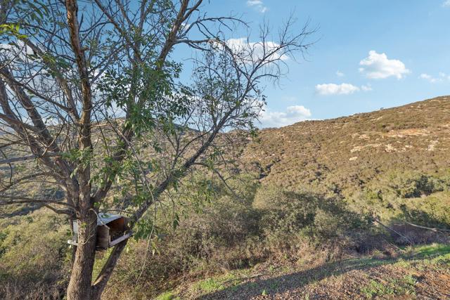 26086 Bear Valley Heights Road, Escondido CA: https://media.crmls.org/mediaz/7014d608-bfff-4070-9c99-2f7c4b171f59.jpg