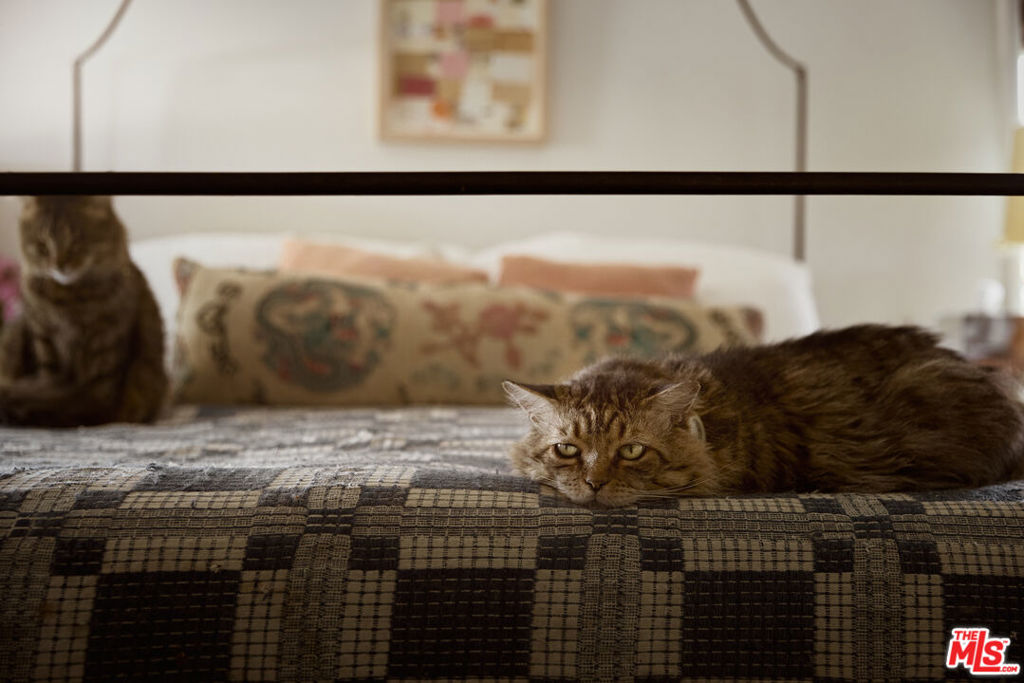 https://media.crmls.org/mediaz/7016f606-e72b-429a-afb6-b1076240c21e.jpg?preset=X-Large