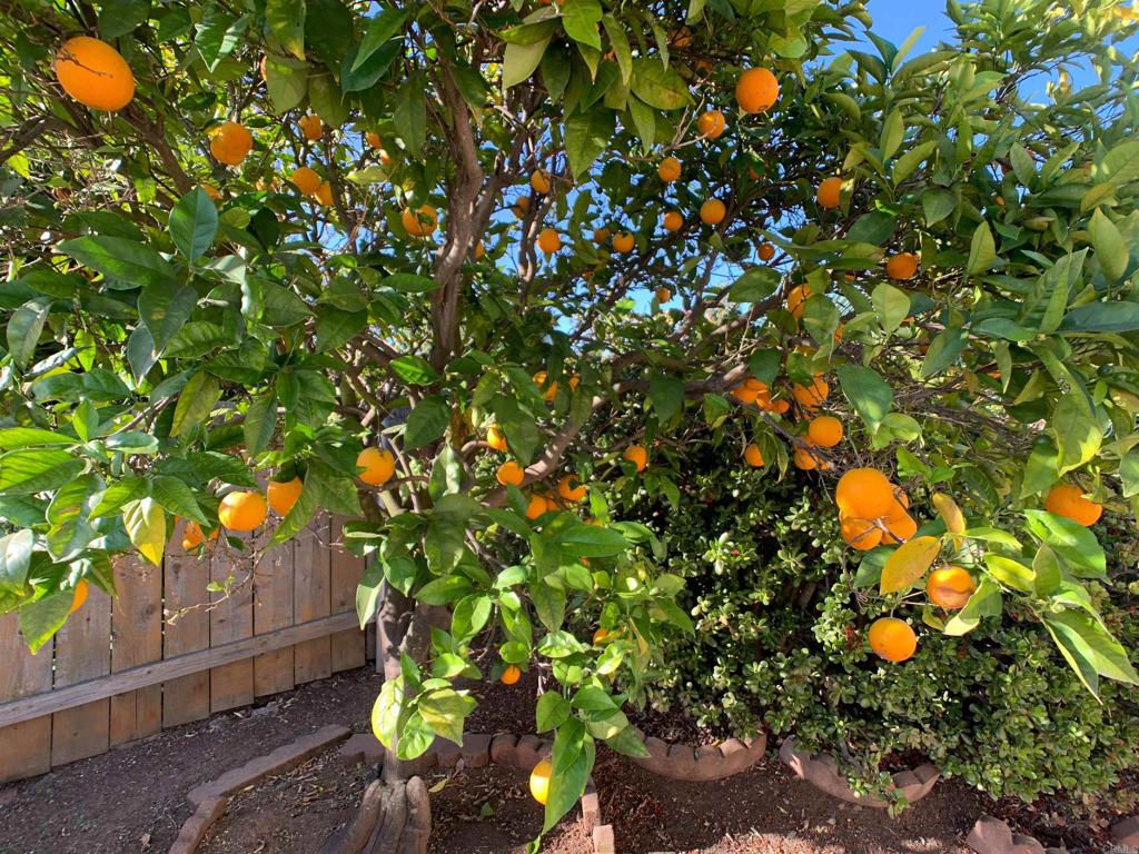 6443 Bluefield Place - photo 15