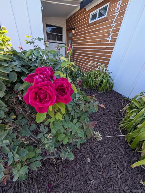 8774 Tommy Drive, San Diego CA: https://media.crmls.org/mediaz/701ca130-9635-4a55-888a-0cf44ccb043c.jpg