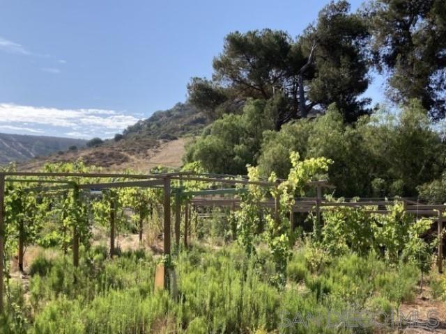 8209 Mesa Rd, Santee CA: https://media.crmls.org/mediaz/7031585f-33aa-4e1f-9088-8752af62ea0a.jpg